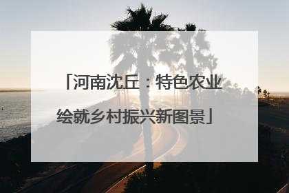 河南沈丘：特色农业绘就乡村振兴新图景