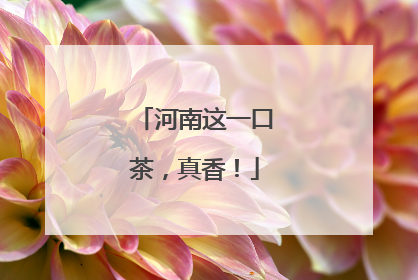 河南这一口茶，真香！