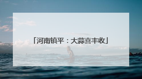河南镇平：大蒜喜丰收