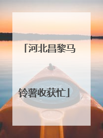 河北昌黎马铃薯收获忙