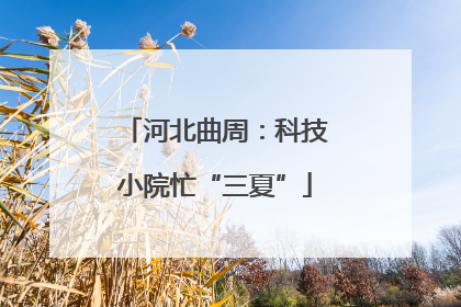 河北曲周：科技小院忙“三夏”