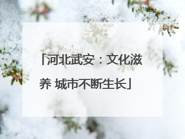 河北武安：文化滋养 城市不断生长