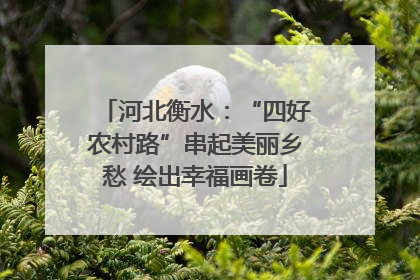 河北衡水：“四好农村路”串起美丽乡愁 绘出幸福画卷