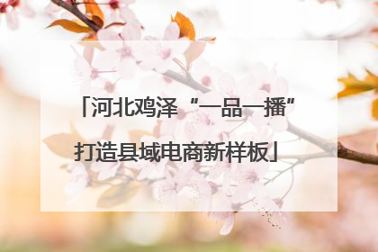 河北鸡泽“一品一播”打造县域电商新样板