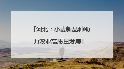 河北：小麦新品种助力农业高质量发展