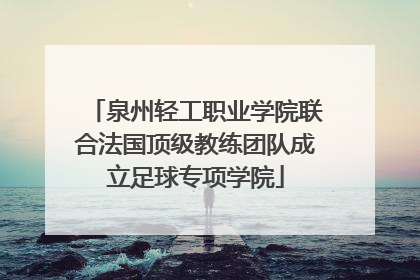 泉州轻工职业学院联合法国顶级教练团队成立足球专项学院