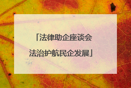 法律助企座谈会 法治护航民企发展