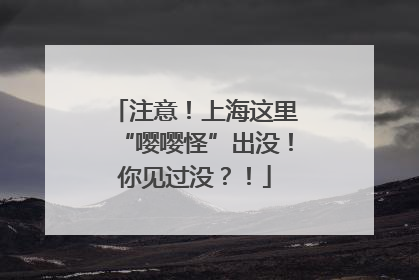 注意！上海这里“嘤嘤怪”出没！你见过没？！