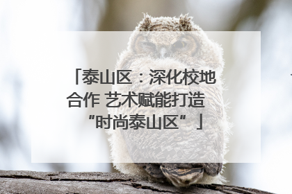 泰山区：深化校地合作 艺术赋能打造“时尚泰山区”