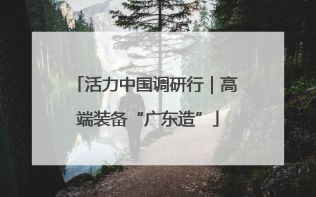 活力中国调研行｜高端装备“广东造”