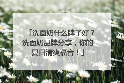 洗面奶什么牌子好？洗面奶品牌分享，你的夏日清爽福音！