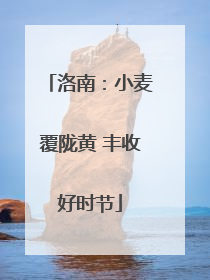 洛南：小麦覆陇黄 丰收好时节