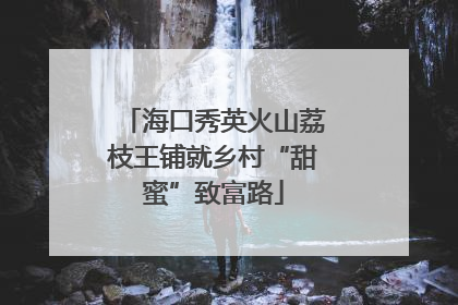 海口秀英火山荔枝王铺就乡村“甜蜜”致富路