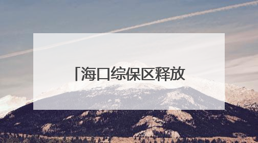 海口综保区释放强劲人才引力