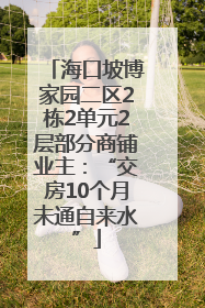 海口坡博家园二区2栋2单元2层部分商铺业主：“交房10个月未通自来水”