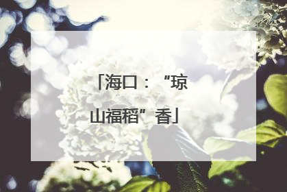 海口：“琼山福稻”香