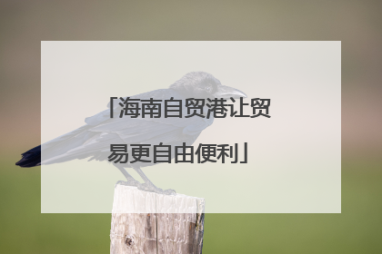 海南自贸港让贸易更自由便利