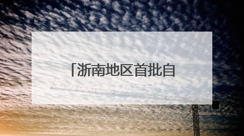 浙南地区首批自有TIR车辆启程 “购车远航”助推外贸发展