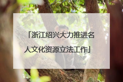 浙江绍兴大力推进名人文化资源立法工作