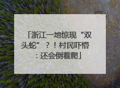 浙江一地惊现“双头蛇”？！村民吓懵：还会倒着爬