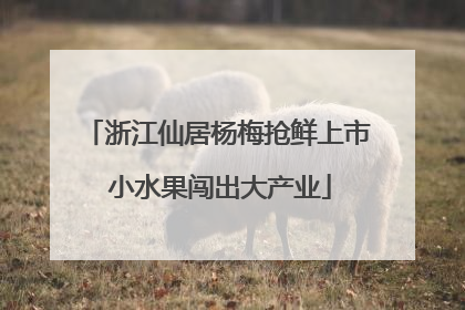 浙江仙居杨梅抢鲜上市 小水果闯出大产业