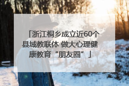 浙江桐乡成立近60个县域教联体 做大心理健康教育“朋友圈”