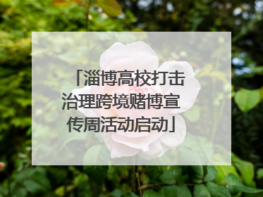 淄博高校打击治理跨境赌博宣传周活动启动