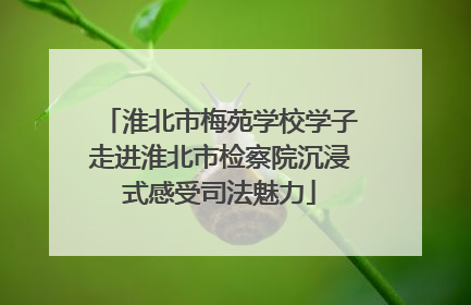 淮北市梅苑学校学子走进淮北市检察院沉浸式感受司法魅力