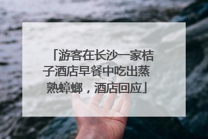 游客在长沙一家桔子酒店早餐中吃出蒸熟蟑螂，酒店回应