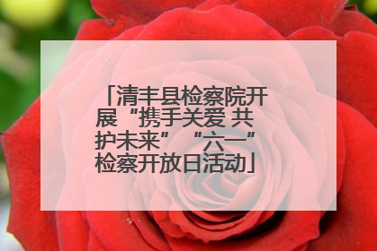 清丰县检察院开展“携手关爱 共护未来”“六一”检察开放日活动