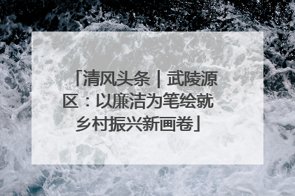 清风头条｜武陵源区：以廉洁为笔绘就乡村振兴新画卷