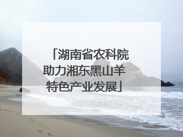 湖南省农科院助力湘东黑山羊特色产业发展
