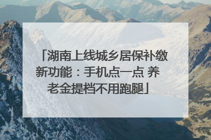 湖南上线城乡居保补缴新功能：手机点一点 养老金提档不用跑腿