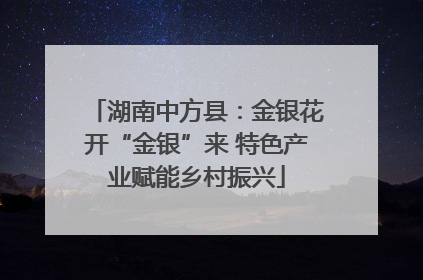 湖南中方县：金银花开“金银”来 特色产业赋能乡村振兴