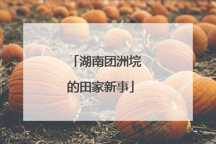 湖南团洲垸的田家新事
