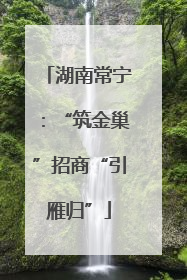 湖南常宁：“筑金巢”招商“引雁归”