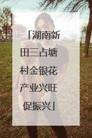 湖南新田三占塘村金银花产业兴旺促振兴