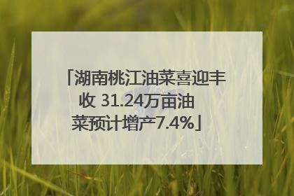 湖南桃江油菜喜迎丰收 31.24万亩油菜预计增产7.4%