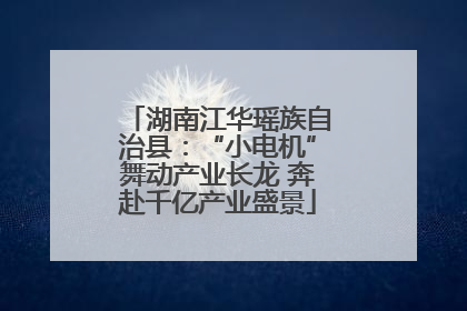 湖南江华瑶族自治县：“小电机”舞动产业长龙 奔赴千亿产业盛景