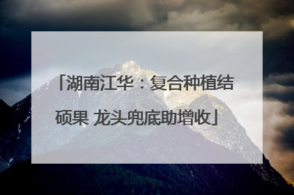 湖南江华：复合种植结硕果 龙头兜底助增收
