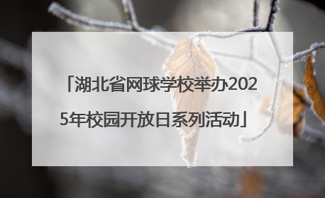 湖北省网球学校举办2025年校园开放日系列活动