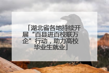 湖北省各地持续开展“百县进百校联万企”行动，助力高校毕业生就业