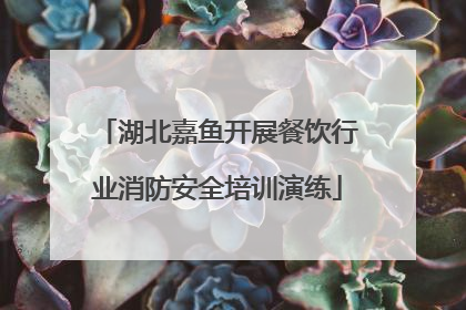 湖北嘉鱼开展餐饮行业消防安全培训演练