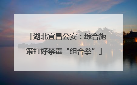 湖北宜昌公安：综合施策打好禁毒“组合拳”