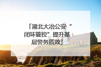 湖北大冶公安“闭环管控”提升基层警务质效