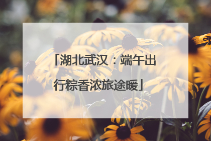 湖北武汉：端午出行粽香浓旅途暖