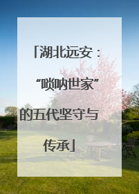 湖北远安：“唢呐世家”的五代坚守与传承
