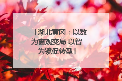 湖北黄冈：以数为窗观变局 以智为镜促转型