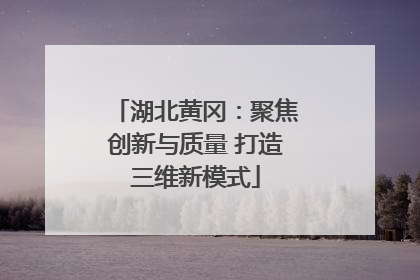 湖北黄冈：聚焦创新与质量 打造三维新模式