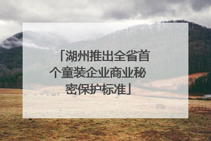 湖州推出全省首个童装企业商业秘密保护标准